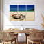 Tortue sur la plage-107950788