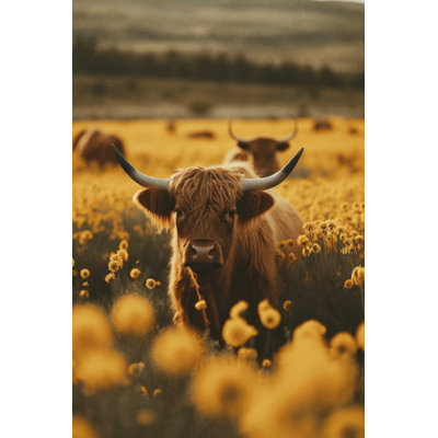Wrapped Canvas Print