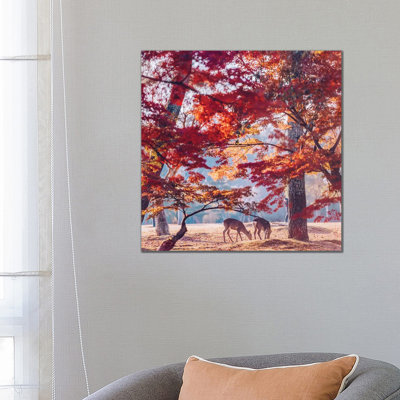 «Autumn Sunrise in Nara» par Hobopeeba - reproduction