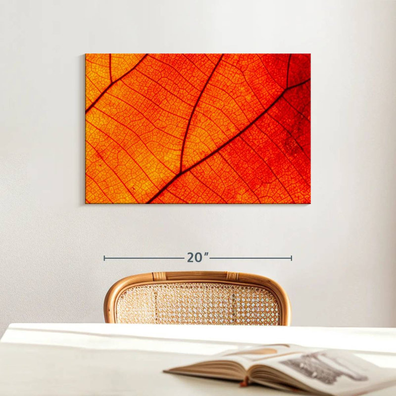Harnek Autumn Leaf Venation