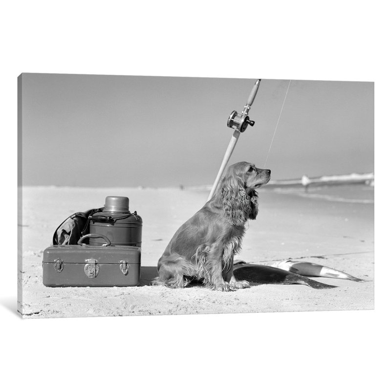 Vintage Images " Cocker Spaniel Dog Standing Guard Over Two Caught Fish And Fishing Equipment " by Vintage Images, White