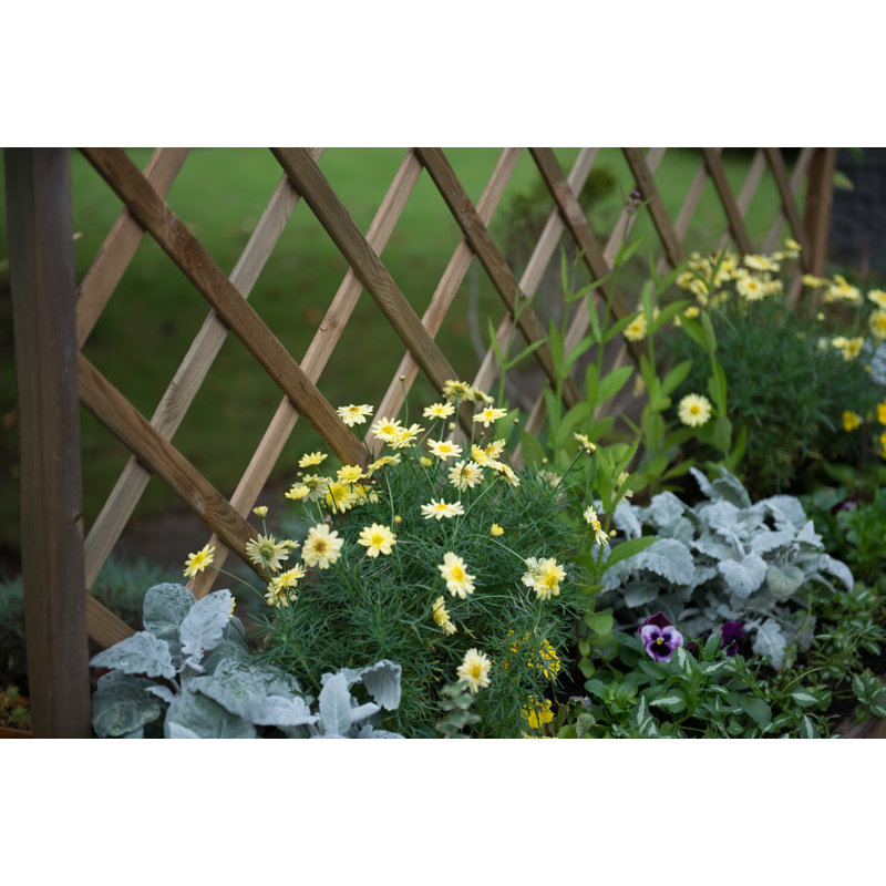 Venice Wood Planter Box