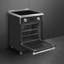 Smeg Professional Range, 24", Induction, Matte Black