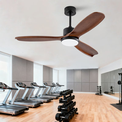 Ventilateur de plafond en bois 52 po avec lumières avec télécommande, ventilateur à 3 pales silencieux pour moteur de patio, salon, chambre à coucher, bureau, intérieur extérieur (noir + noyer foncé)
