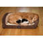 Lit orthopédique matelassé pour chat et chien Serta, moka, moyen-120617112-31319149