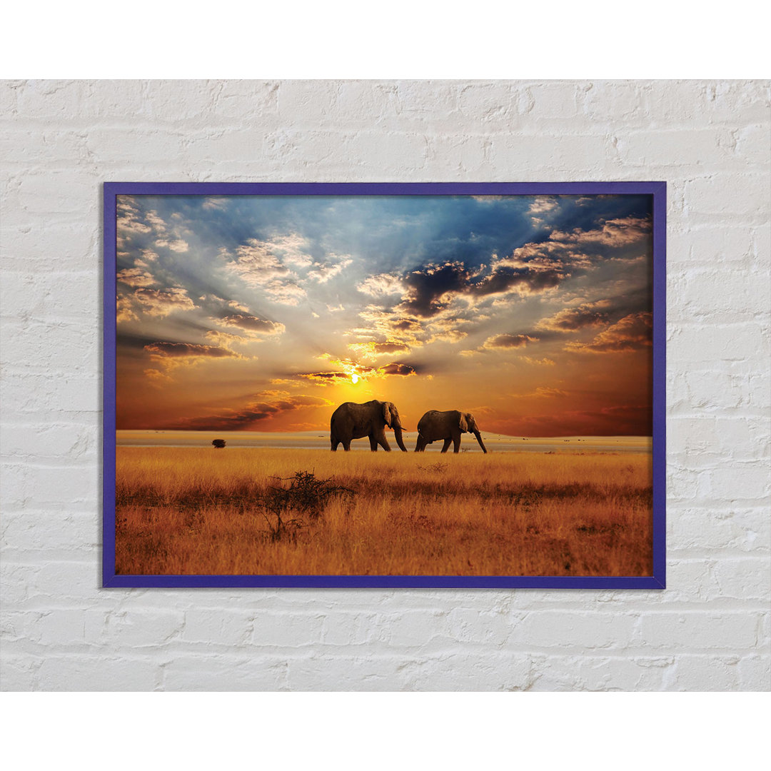 Gerahmtes Leinwandbild Elephant Duo Sunset