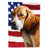 Beagle-Harrier