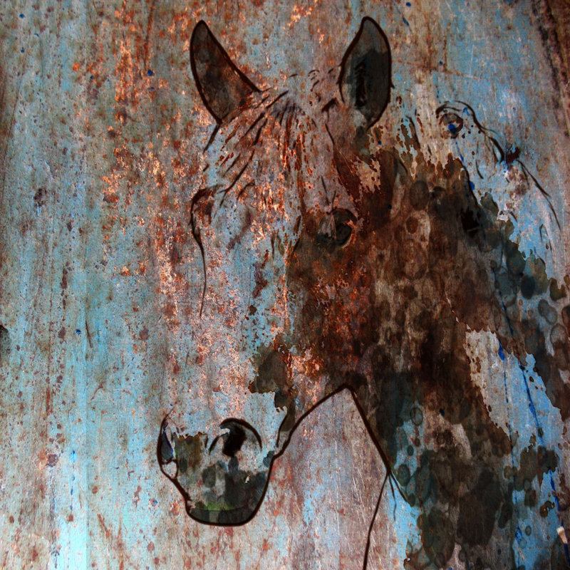 « rustique cheval ii » par irena orlov, reproduction d’art sur toile tendue, H 18 po x l 18 po x P 1,5 po