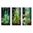 Green Bottled Melody-239315147-239315148