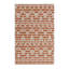 Cotton Geometric Area Rug in Orange/Beige-50110963