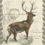 Elk, impression sur toile tendue Regal-74879427-74879426-19754615
