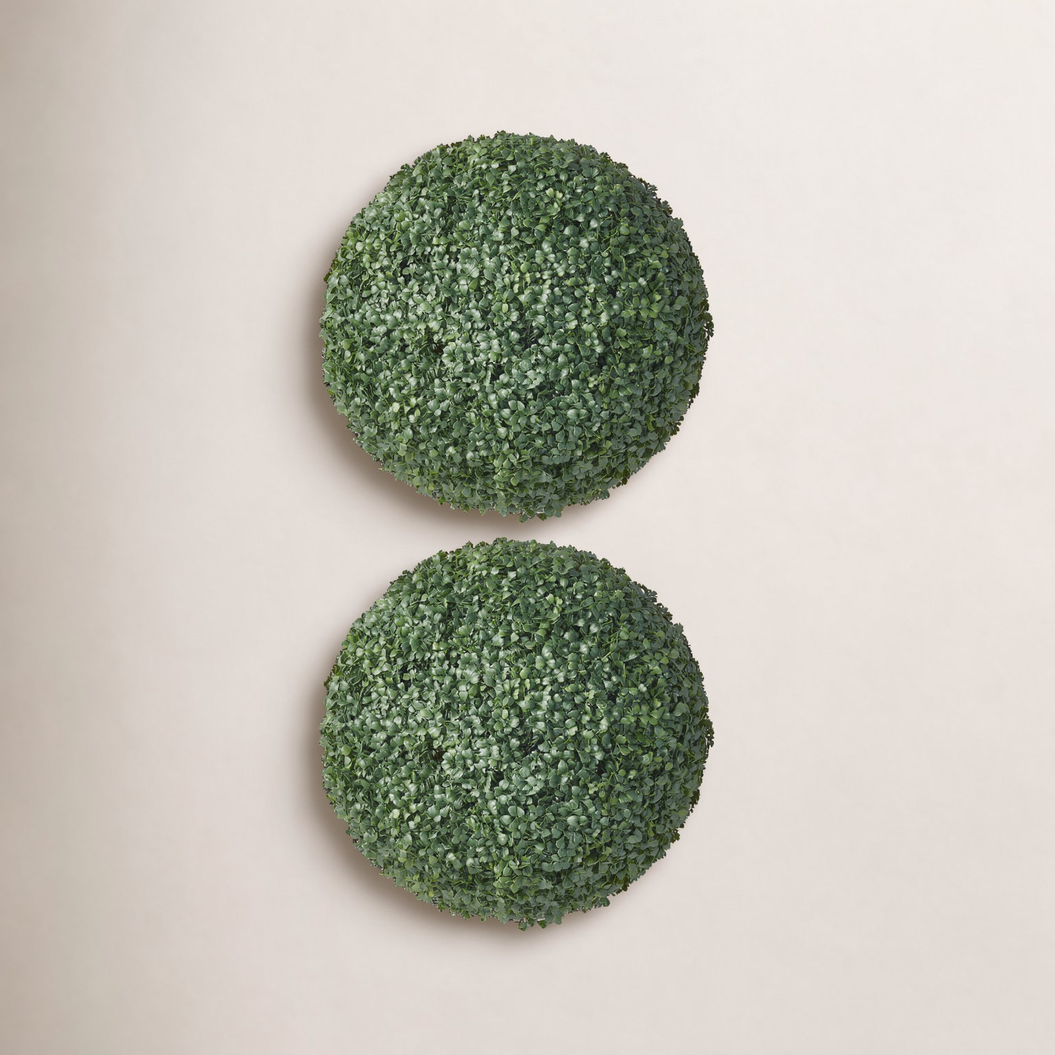 Ashwell Boxwood Topiary, 2, 18" x 18"