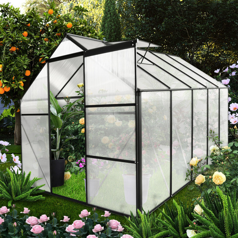 Serre robuste de 1,8 x 3 m avec système de drainage pour le jardinage extérieur en toutes saisons. Base galvanisée accessible à pied et bonne ventilation. Convient aux plantes de saison.