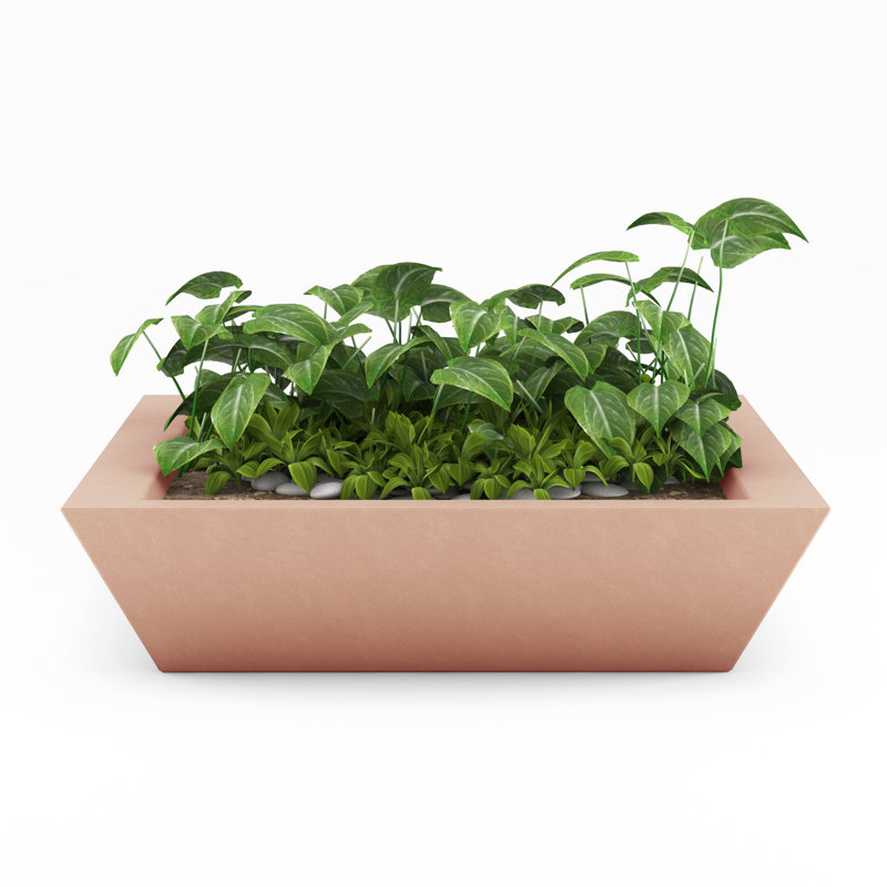 Newport Shallow Concrete Planter , Antique Rose, 6" H x 24" W x 24" D