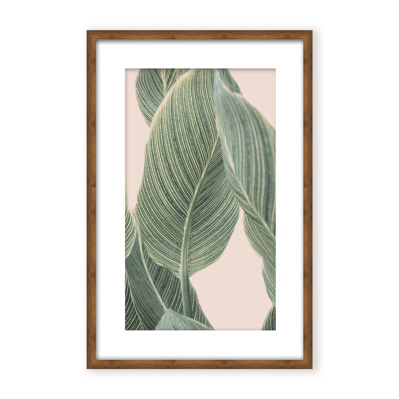 Coastal Retreat Calla Leaf by  - Picture Frame Graphic Art on Paper, Framed Canvas, Brown, 48" H x 32" W x 2.375" D