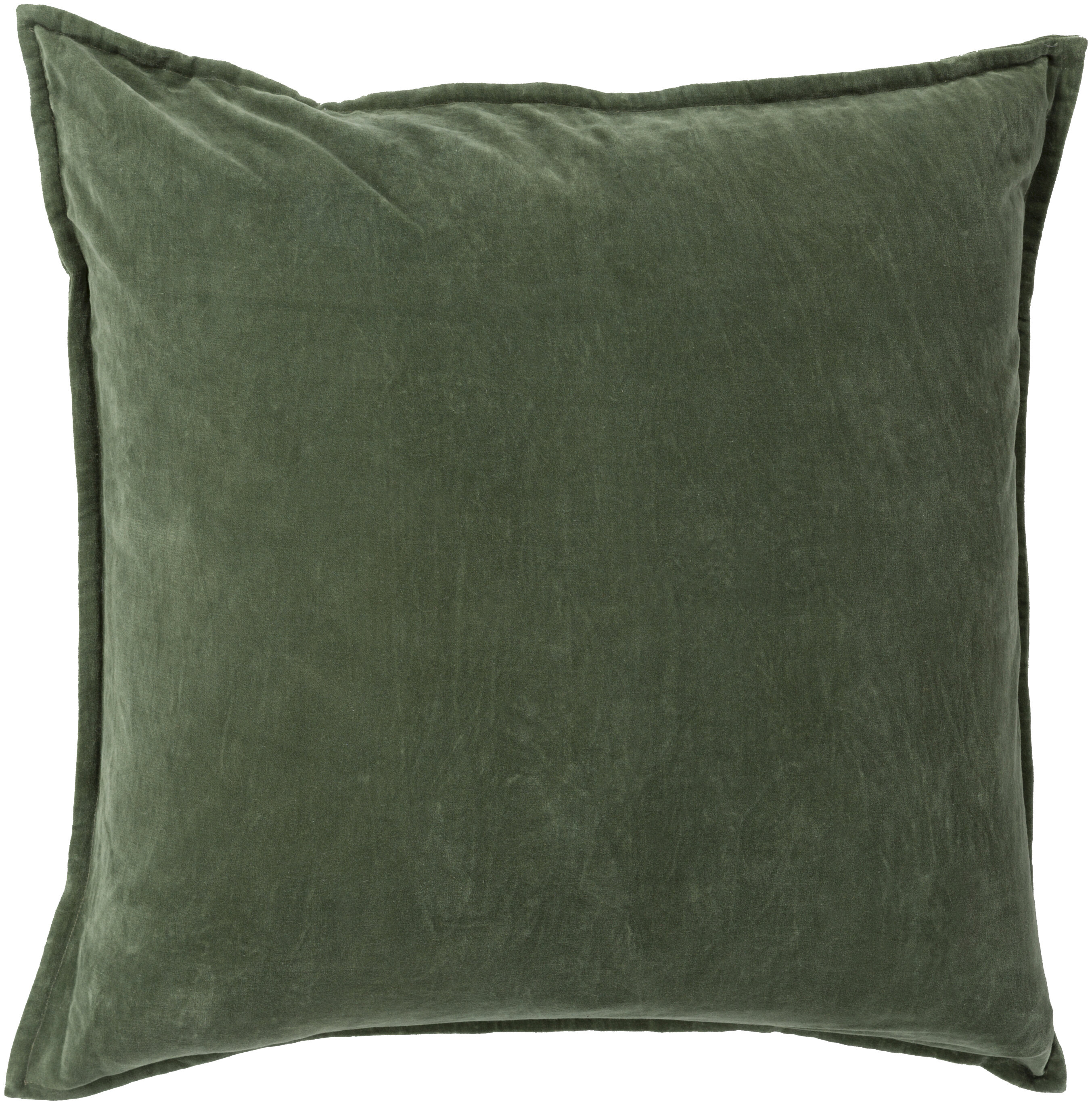 Green 2024 decorative pillow