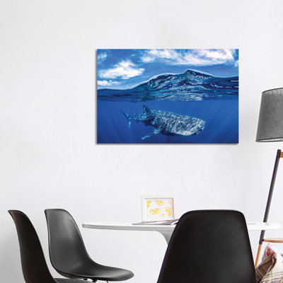 Whale Shark Over Under by Jordan Robins - Wrapped Canvas Print