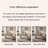 Elmina-1420482953