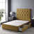 Ochre is out of stock selected