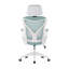 Aalaysia Mesh Office Chair with Headrest-363516334