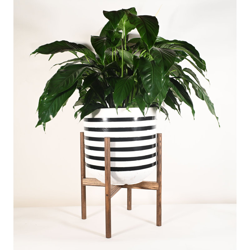 Pot à fleurs Leatherwood, H 17 po x l 16 po x P 16 po, Noyer foncé