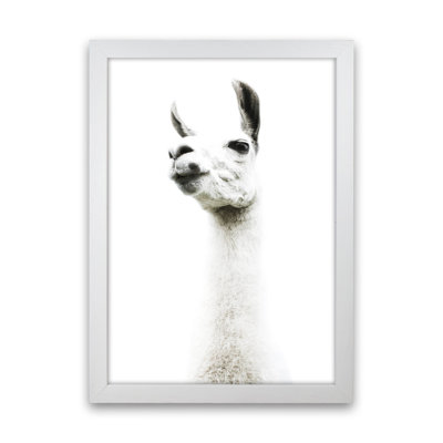 Llama II 1 Piece Wall Art