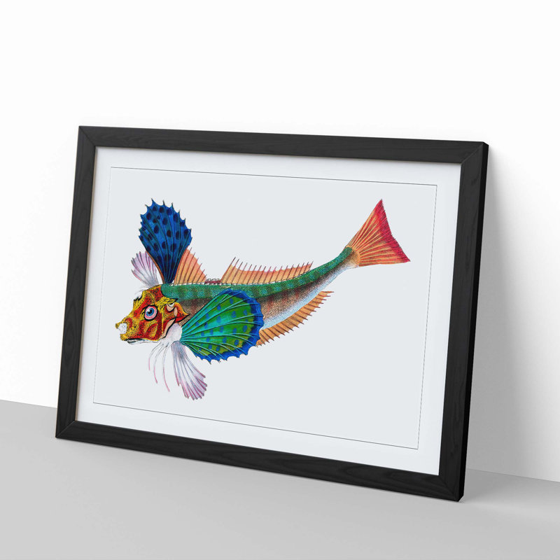 Sapphirine Gurnard Fish by Edward Donovan - Picture Frame Painting Print, 36cm H x 48cm W x 2cm D, Black Framed