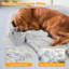 Arrigo Pet Bed-2072489068-2072489071