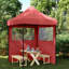 Vidaxl Foldable Party Tent Pop-Up With 2 Sidewalls-1563125888-1563125892-1563125894