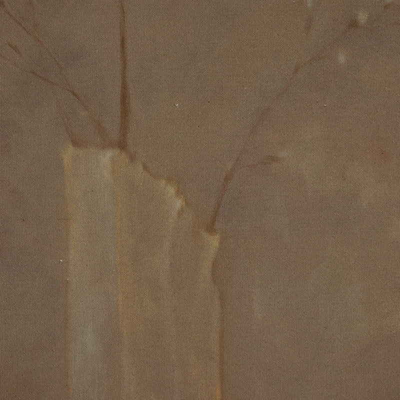 Sakura By Jess Engle, H 40" x W 30"