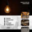 G95 LED Dimmable B22 4W Bulb