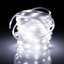 33ft Rope Light Battery Powered Operated with Remote Control