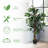 48'' Faux Ficus Tree in Pot