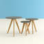 Duke Trestle Nesting Tables-17953250