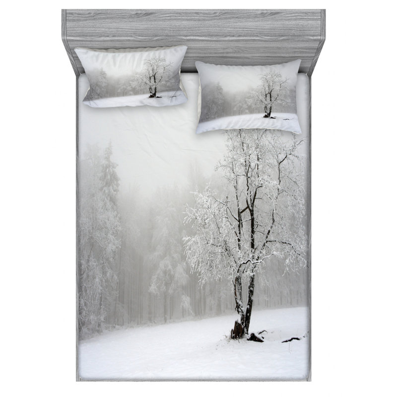 Microfiber Sheet Set, Queen Sheet Set + Fitted Sheet + 2 Pillowcases