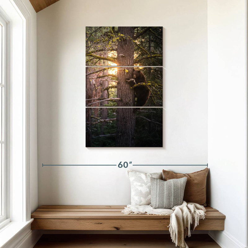 Ours sur un arbre, H 45 po x l 28 po