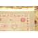 Moore Oriental Indoor Rug