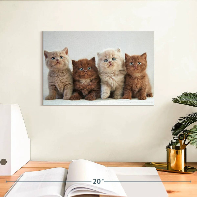 British Shorthair Cats, 8" H x 12" W