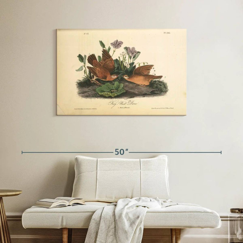 Brampt Key-West Dove, 26" H x 39" W