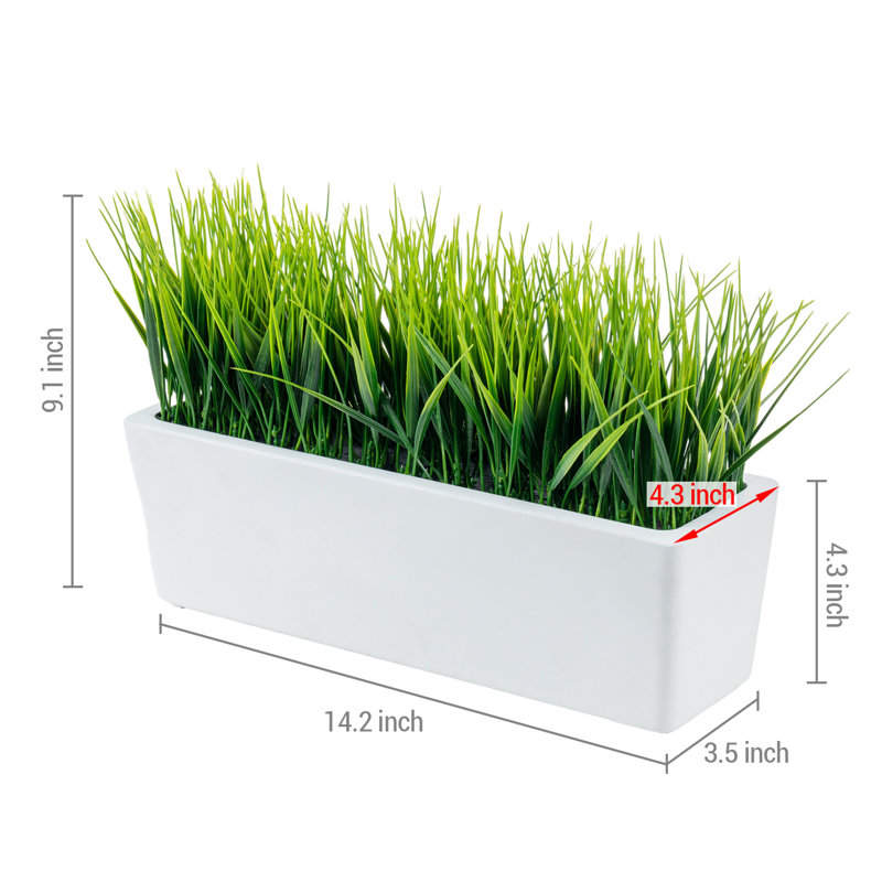 Fausse herbe dans une boîte de fenêtre en ciment