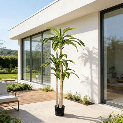 5 ft Artificial Dracaena Tree in Black Plastic Pot for Indoor Decor