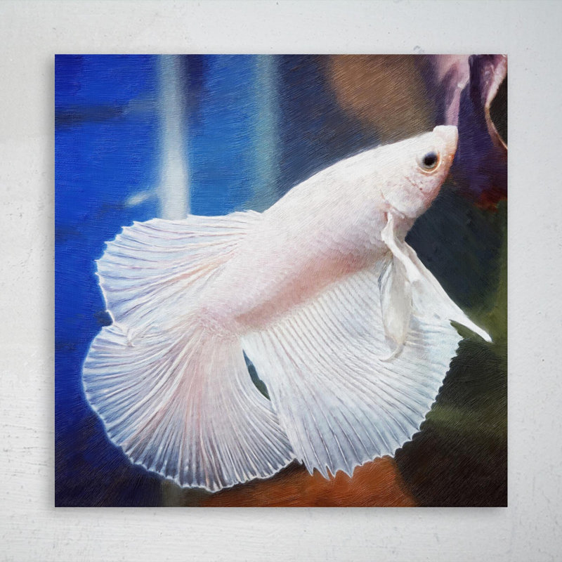 " White Betta Fish " Painting Print, 12" H x 12" W