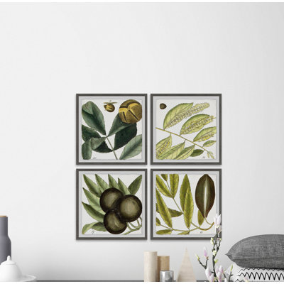 « green catkins quadriptych », ensemble de 4 reproductions d’art encadrées