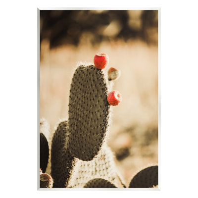 Art mural sur toile "Prickly poire cactus fruits" par Krista Broadway