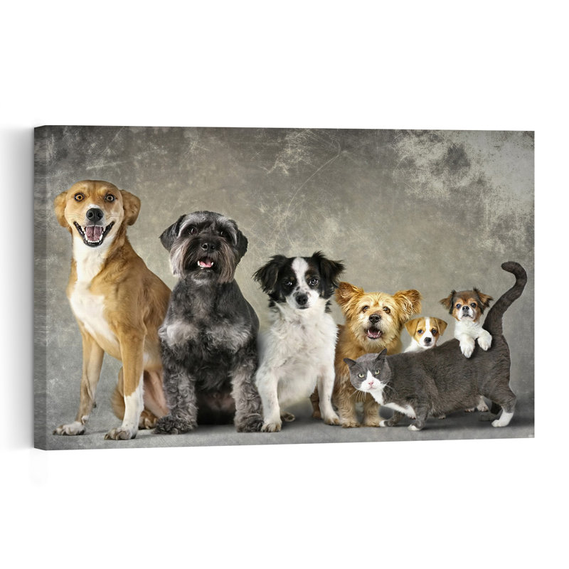 Happy Pet Family Contemporary Cat Dog Wall Art Print 1 Piece Wrapped Canvas Wall Art, 60.96cm H x 40.64cm W