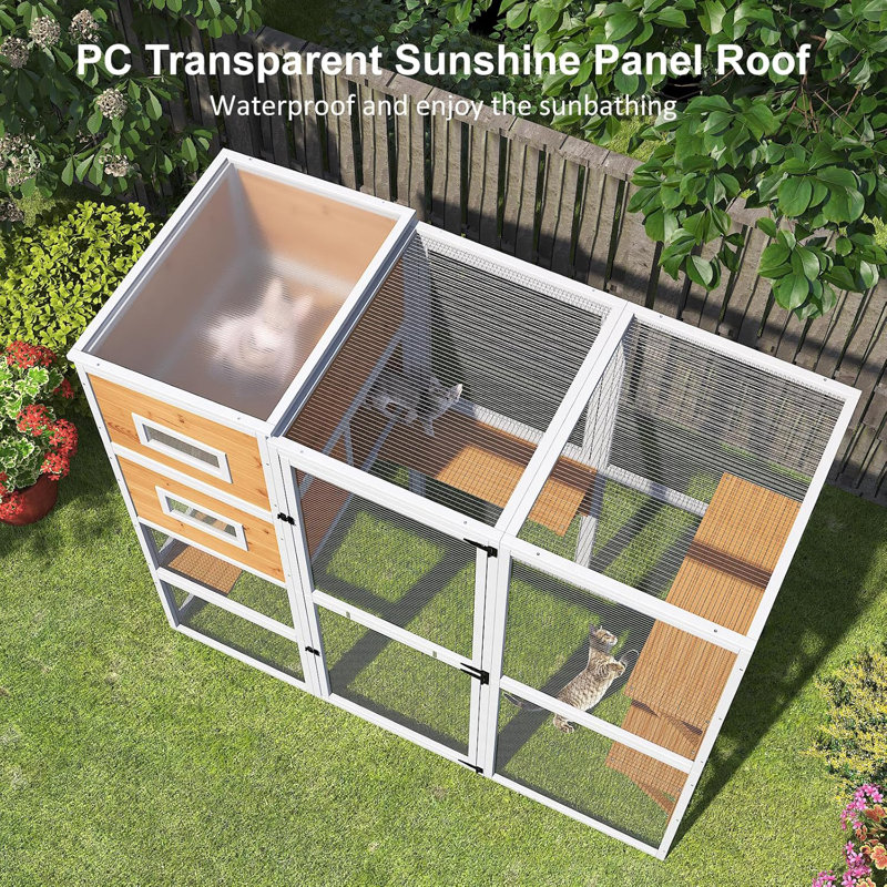Catio d'extérieur en bois résistant aux intempéries pour plusieurs chats avec boîte de repos et plateforme, Jaune / Blanc