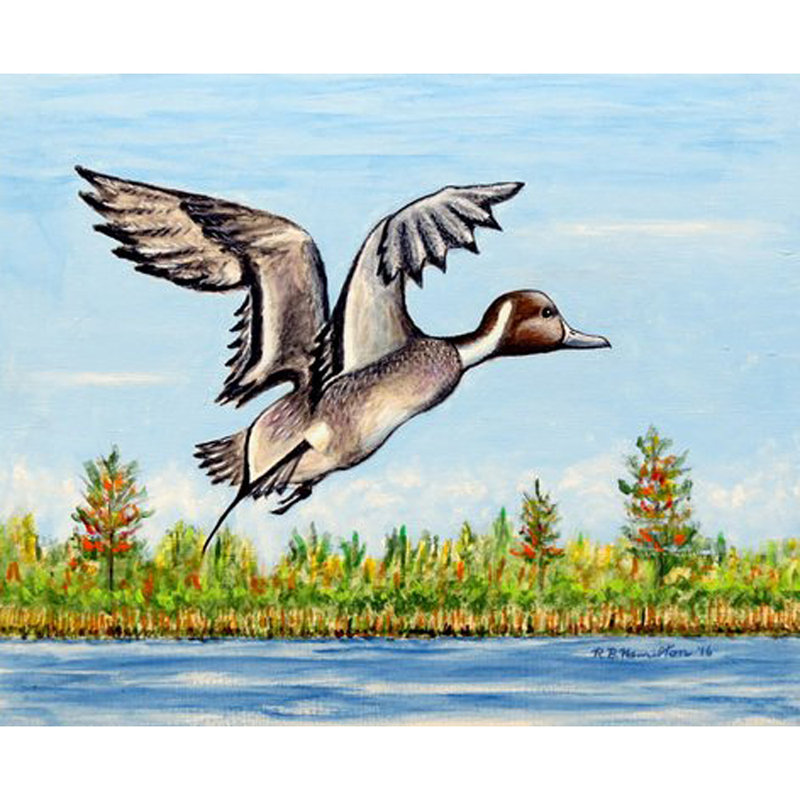Tapis antidérapant Pintail Duck, Rectangle 1 pi 6 po x 2 pi 2 po