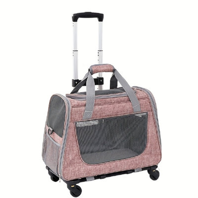 Porte-chat roulant sur roulettes, transporteur pour animaux extensible approuvé par la compagnie aérienne, transporteur pliable pour chat avec poignée télescopique et sangle à bagage pour petits chats et chiens