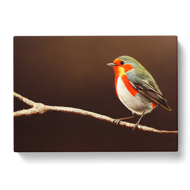 Dramatic Robin Bird - Wrapped Canvas Print, 35cm H x 50cm W x 3cm D