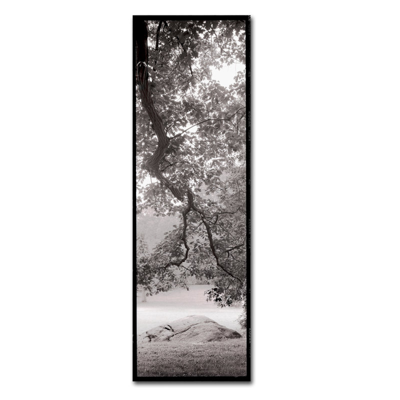 Alan Blaustein «Hampton Field Tree I», reproduction de photo sur toile tendue, H 32 po x l 10 po x P 2 po